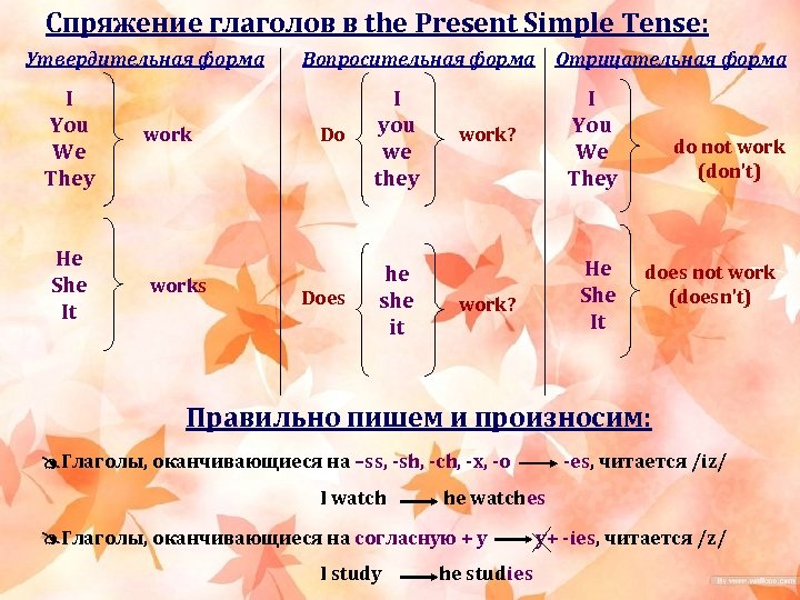 Спряжение глаголов в the Present Simple Tense: Утвердительная форма I You We They He