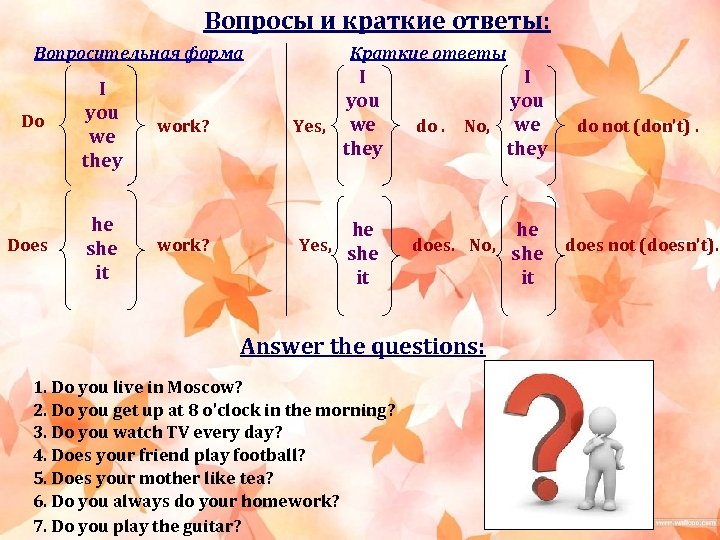 Вопросы и краткие ответы: Вопросительная форма Do I you we they work? Does he
