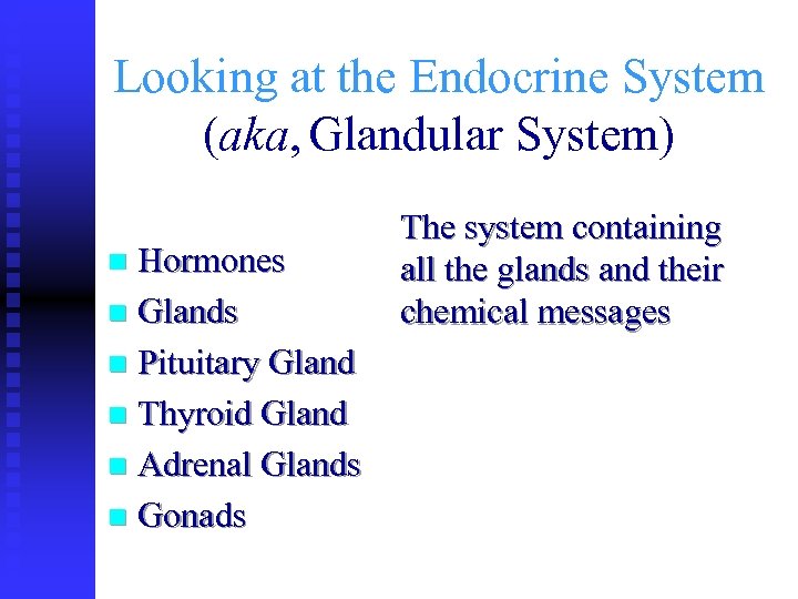 Looking at the Endocrine System (aka, Glandular System) Hormones n Glands n Pituitary Gland