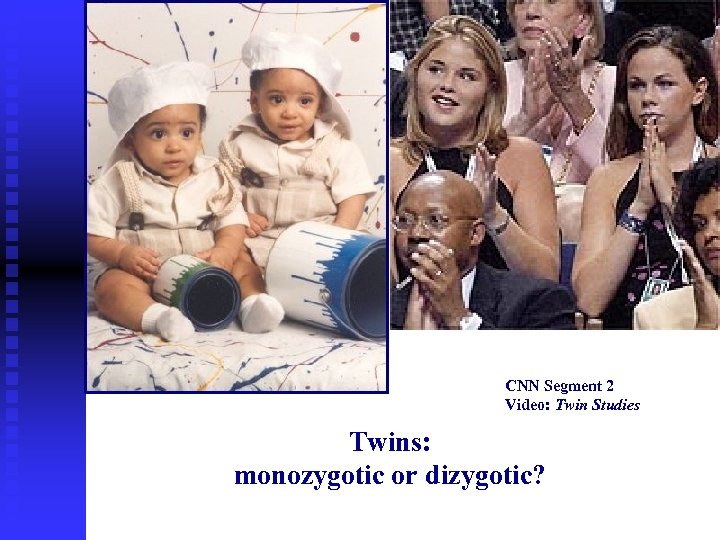 CNN Segment 2 Video: Twin Studies Twins: monozygotic or dizygotic? 