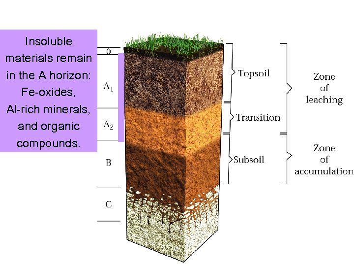 Insoluble materials remain in the A horizon: Fe-oxides, Al-rich minerals, and organic compounds. 