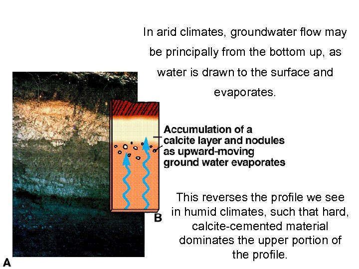 In arid climates, groundwater flow may be principally from the bottom up, as water