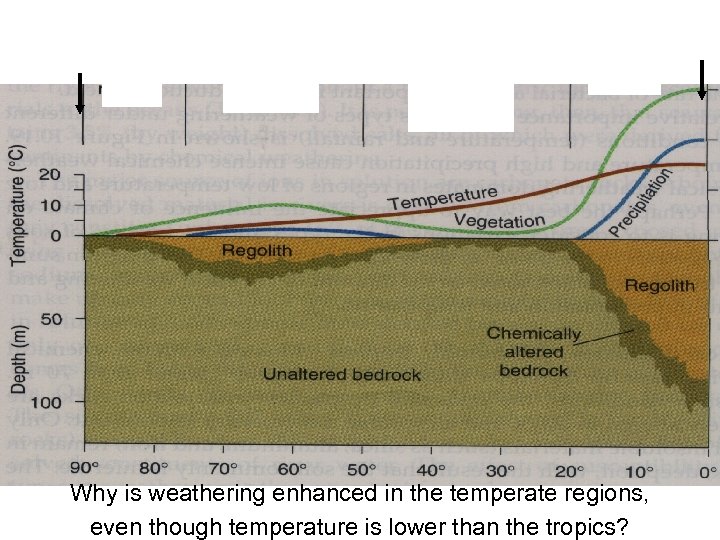 Why is weathering enhanced in the temperate regions, even though temperature is lower than