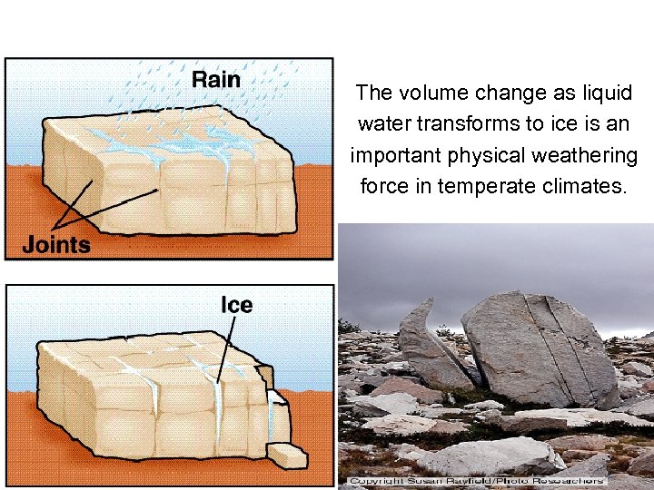 The volume change as liquid water transforms to ice is an important physical weathering