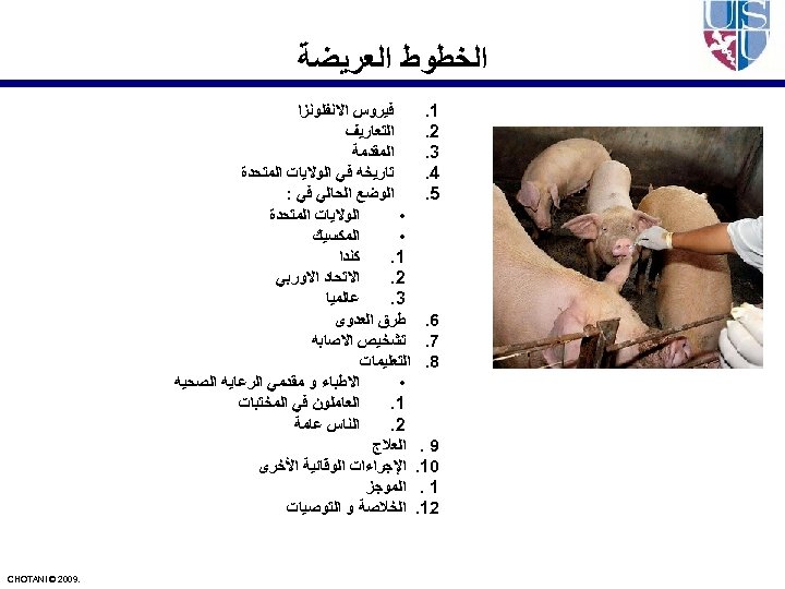  ﺍﻟﺨﻄﻮﻁ ﺍﻟﻌﺮﻳﻀﺔ ﻓﻴﺮﻭﺱ ﺍﻻﻧﻔﻠﻮﻧﺰﺍ 1. ﺍﻟﺘﻌﺎﺭﻳﻒ 2. ﺍﻟﻤﻘﺪﻣﺔ 3. ﺗﺎﺭﻳﺨﻪ ﻓﻲ ﺍﻟﻮﻻﻳﺎﺕ ﺍﻟﻤﺘﺤﺪﺓ