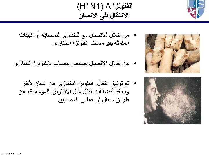  ﺍﻧﻔﻠﻮﻧﺰﺍ (H 1 N 1) A ﺍﻻﻧﺘﻘﺎﻝ ﺍﻟﻰ ﺍﻻﻧﺴﺎﻥ • ﻣﻦ ﺧﻼﻝ ﺍﻻﺗﺼﺎﻝ