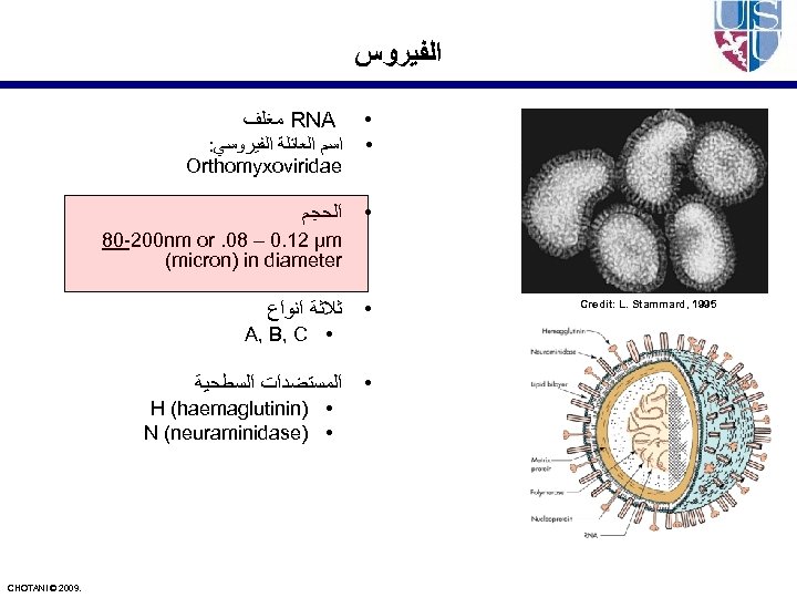  ﺍﻟﻔﻴﺮﻭﺱ ﻣﻐﻠﻒ RNA • : ﺍﺳﻢ ﺍﻟﻌﺎﺋﻠﺔ ﺍﻟﻔﻴﺮﻭﺳﻲ Orthomyxoviridae • • ﺍﻟﺤﺠﻢ 80