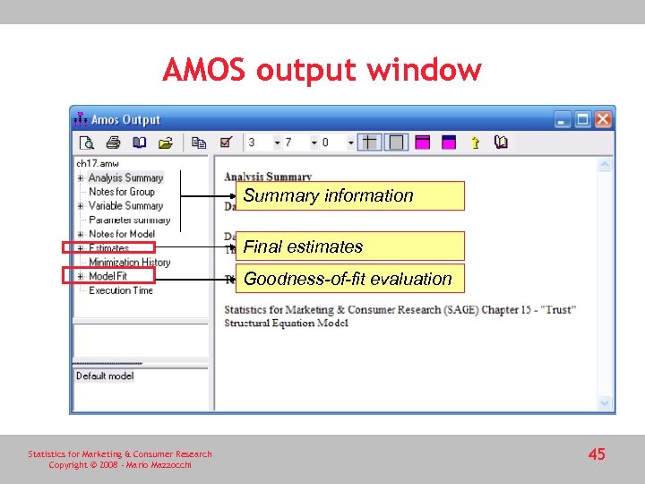 AMOS output window Summary information Final estimates Goodness-of-fit evaluation Statistics for Marketing & Consumer