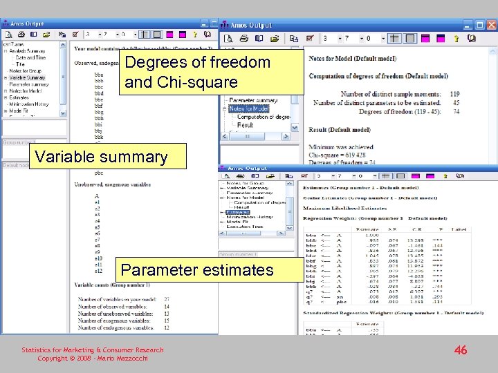 Degrees of freedom and Chi-square Variable summary Parameter estimates Statistics for Marketing & Consumer