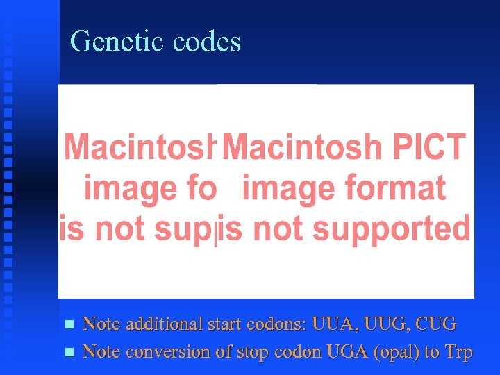 Genetic codes Note additional start codons: UUA, UUG, CUG Note conversion of stop codon