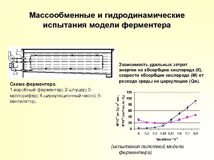 Массообменные и гидродинамические испытания модели ферментера Схема ферментера. 1 -аэробный ферментер; 2 -штуцер; 3