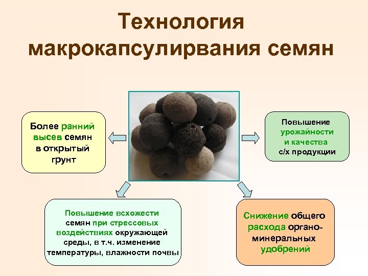 Технология макрокапсулирвания семян Более ранний высев семян в открытый грунт Повышение всхожести семян при