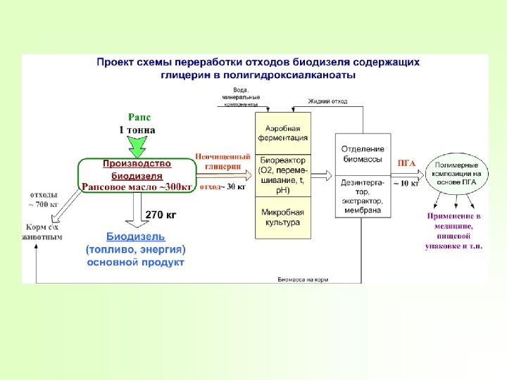 Биотехнологическая схема получения ферментов