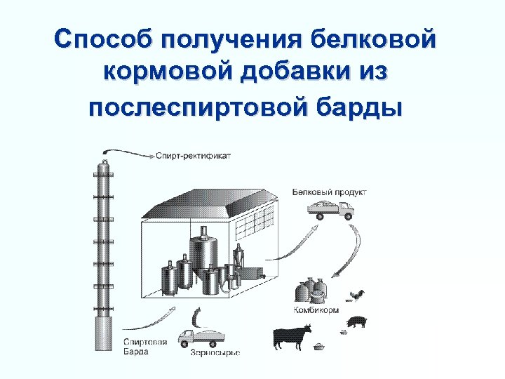 Способ получения белковой кормовой добавки из послеспиртовой барды 