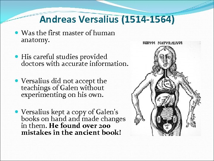 Andreas Versalius (1514 -1564) Was the first master of human anatomy. His careful studies