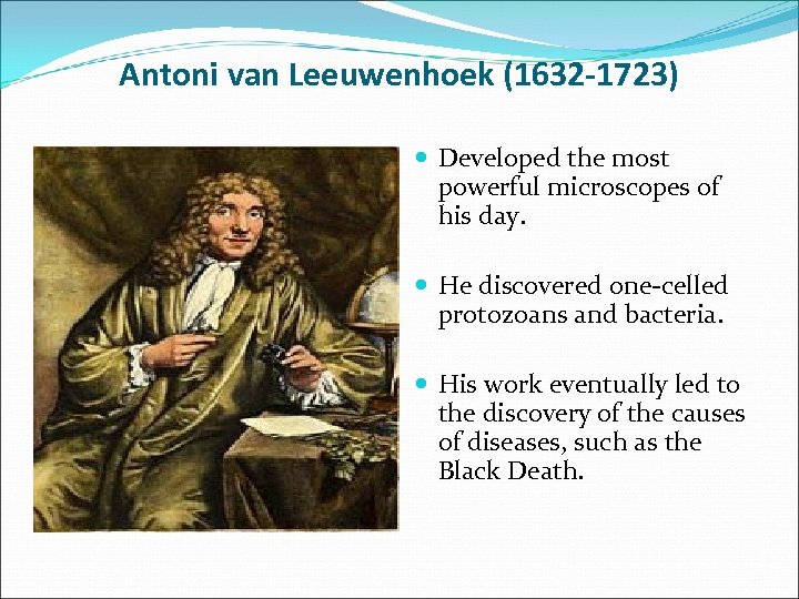Antoni van Leeuwenhoek (1632 -1723) Developed the most powerful microscopes of his day. He