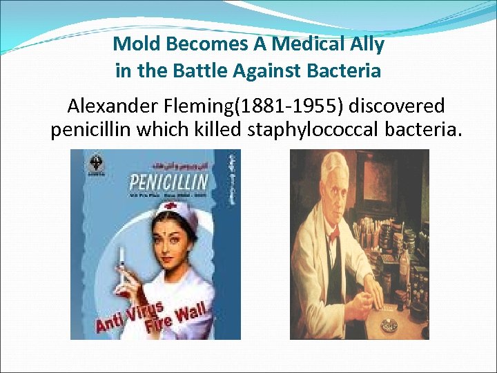 Mold Becomes A Medical Ally in the Battle Against Bacteria Alexander Fleming(1881 -1955) discovered