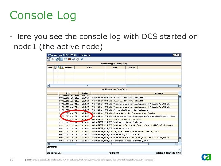 Console Log - Here you see the console log with DCS started on node