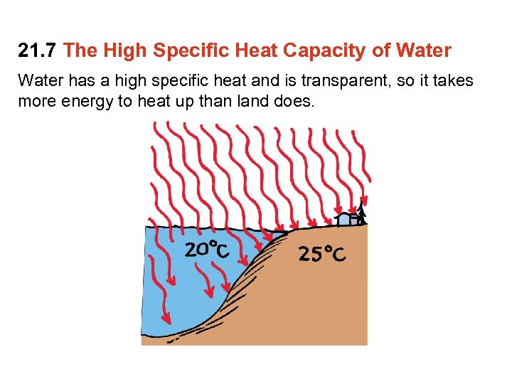 21. 7 The High Specific Heat Capacity of Water has a high specific heat