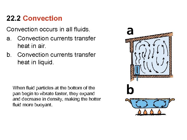 22. 2 Convection occurs in all fluids. a. Convection currents transfer heat in air.