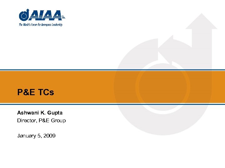 P&E TCs Ashwani K. Gupta Director, P&E Group January 5, 2009 