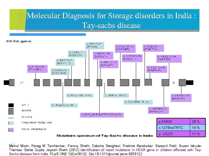 Molecular Diagnosis for Storage disorders in India : Tay-sachs disease p. E 462 V