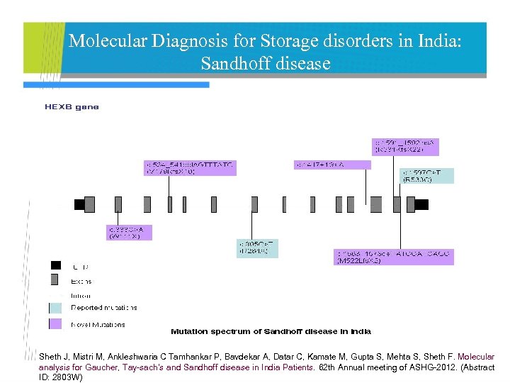 Molecular Diagnosis for Storage disorders in India: Sandhoff disease Sheth J, Mistri M, Ankleshwaria