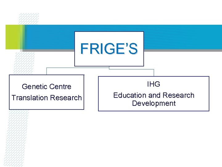 FRIGE’S Genetic Centre Translation Research IHG Education and Research Development 