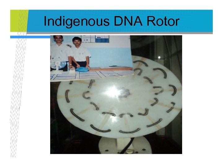 Indigenous DNA Rotor 