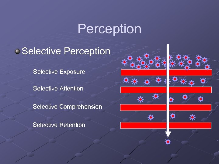 Perception Selective Exposure Selective Attention Selective Comprehension Selective Retention 