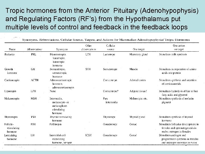 Tropic hormones from the Anterior Pituitary (Adenohypophysis) and Regulating Factors (RF’s) from the Hypothalamus