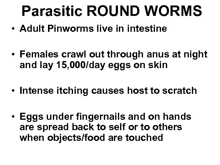 Parasitic ROUND WORMS • Adult Pinworms live in intestine • Females crawl out through