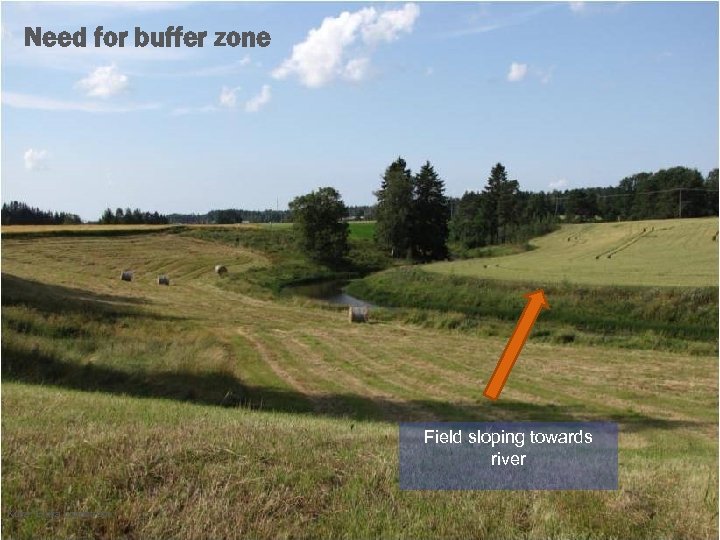Need for buffer zone Field sloping towards river Kuva: Eriika Lundström 