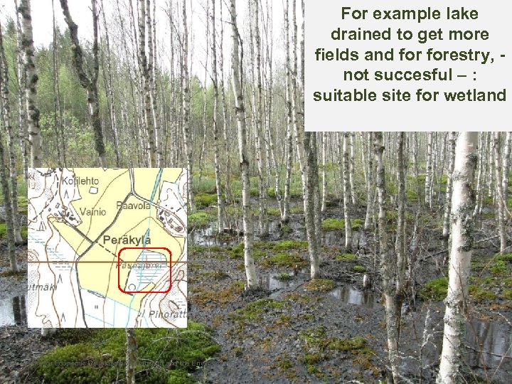 For example lake drained to get more fields and forestry, not succesful – :