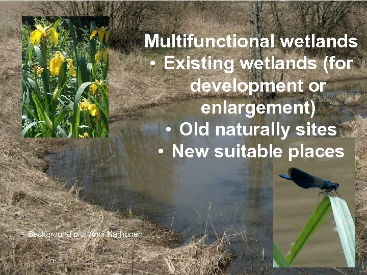 Multifunctional wetlands • Existing wetlands (for development or enlargement) • Old naturally sites •