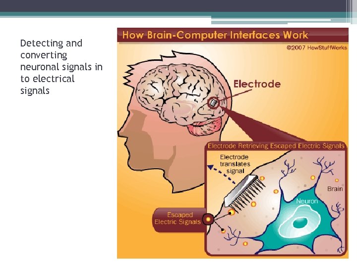Detecting and converting neuronal signals in to electrical signals 