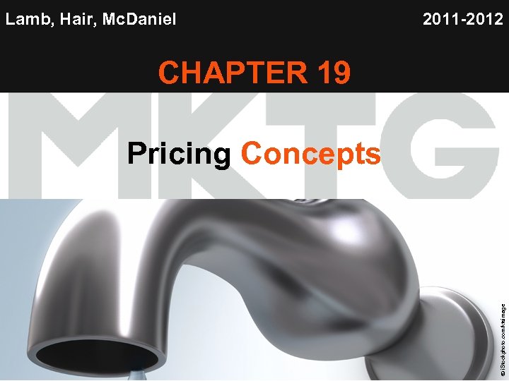Lamb, Hair, Mc. Daniel 2011 -2012 CHAPTER 19 Chapter 19 Copyright © 2012 by
