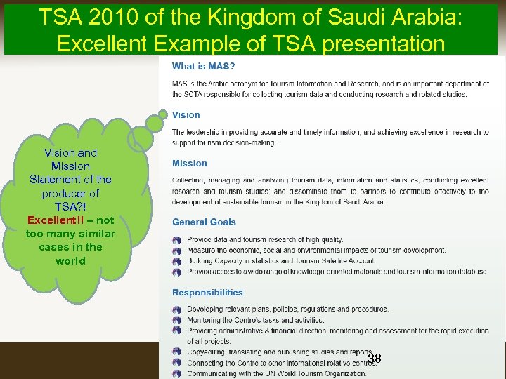 TSA 2010 of the Kingdom of Saudi Arabia: Excellent Example of TSA presentation Vision