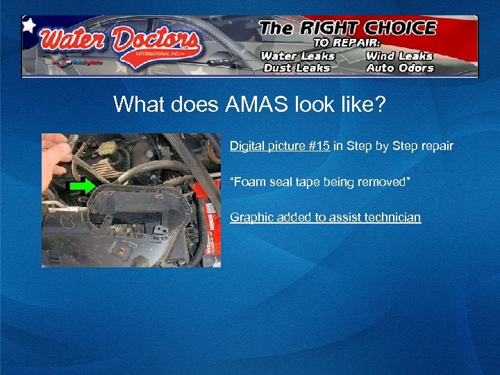 What does AMAS look like? Digital picture #15 in Step by Step repair “Foam