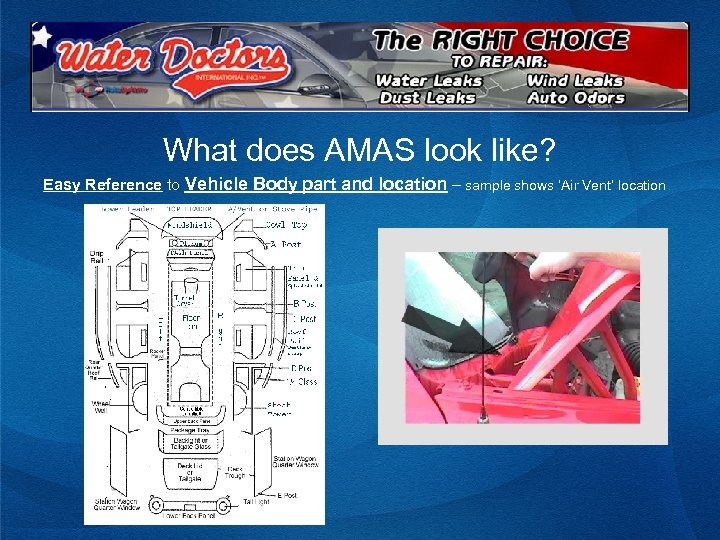 What does AMAS look like? Easy Reference to Vehicle Body part and location –