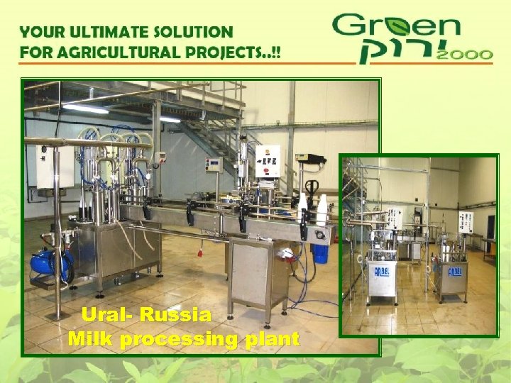 Ural- Russia Milk processing plant 