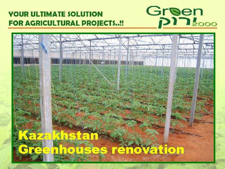 Kazakhstan Greenhouses renovation 