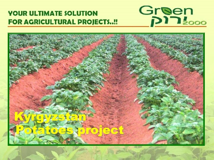 Kyrgyzstan Potatoes project 