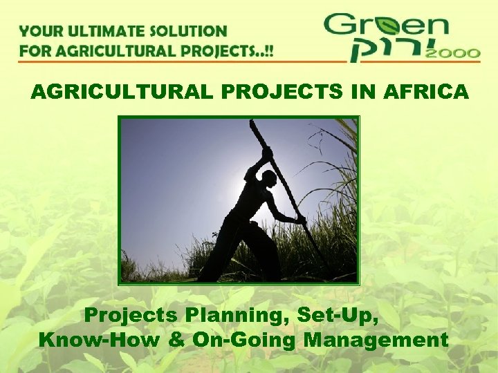 AGRICULTURAL PROJECTS IN AFRICA Projects Planning, Set-Up, Know-How & On-Going Management 