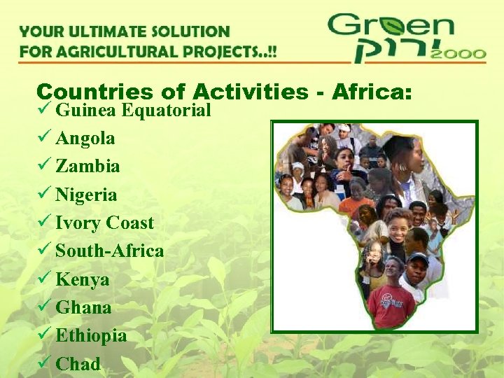 Countries of Activities - Africa: ü Guinea Equatorial ü Angola ü Zambia ü Nigeria