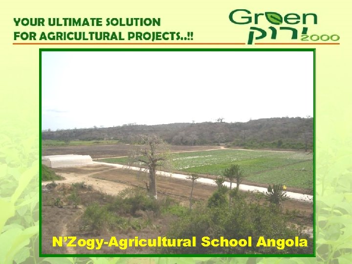 N’Zogy-Agricultural School Angola 