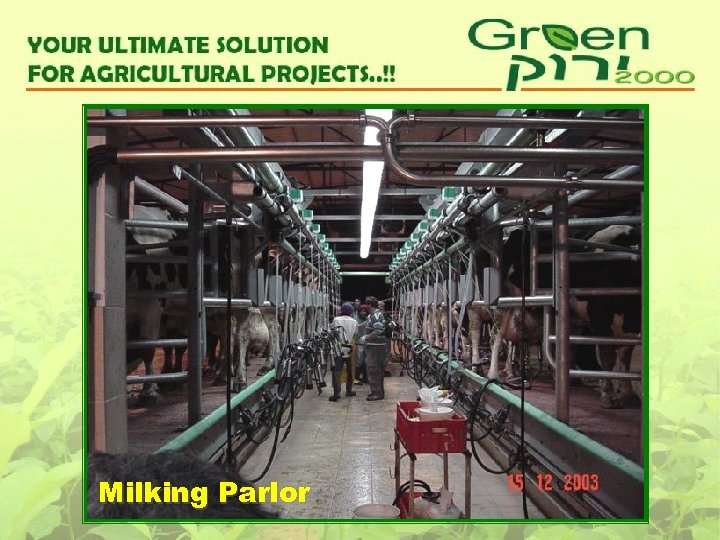 Milking Parlor 