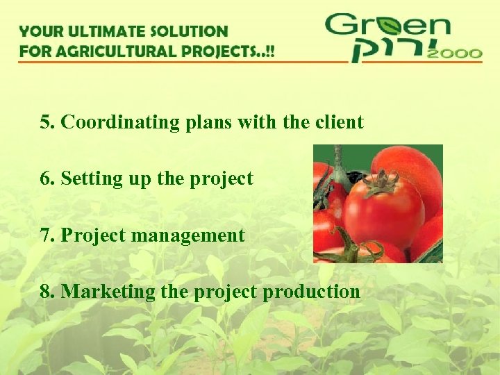 5. Coordinating plans with the client 6. Setting up the project 7. Project management