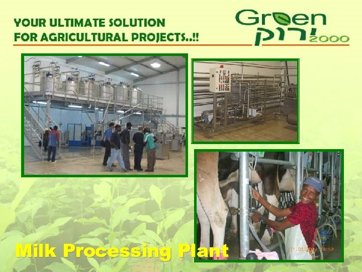 Milk Processing Plant 