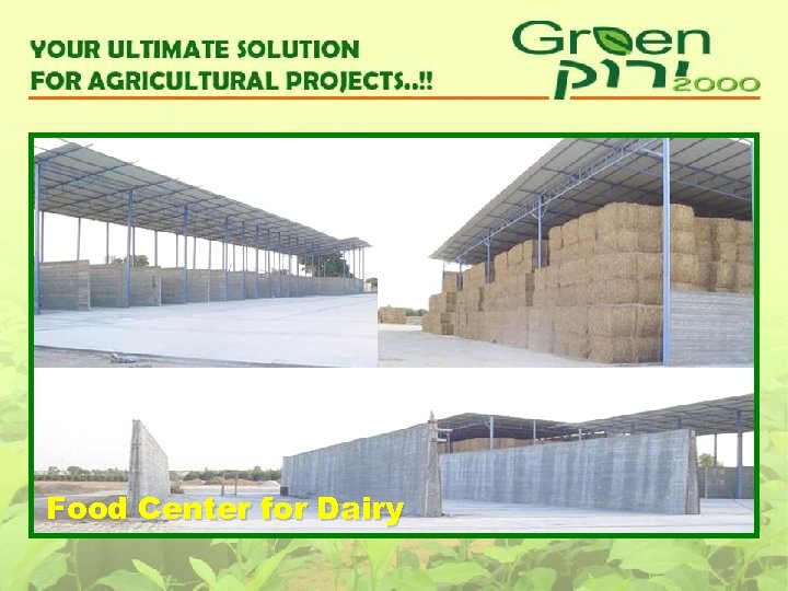 Food Center for Dairy 